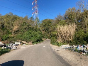 Via di Tor San Giovanni - Riserva naturale della Marcigliana - 9-IV-2021