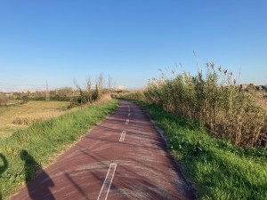 "Regina ciclarum" tratta Magliana-Mezzocamo