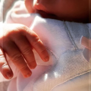 1bae9981-9fcb-4d9c-a671-85700e89caf1